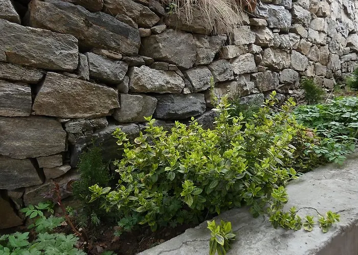 Guest House Chepelare Tatil Evi *