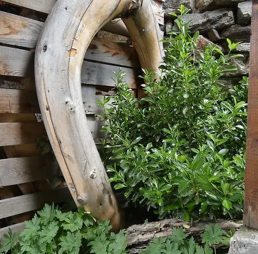 Guest House Chepelare